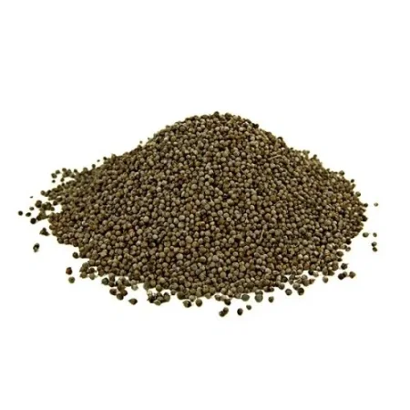حبوب الدخن Millet
